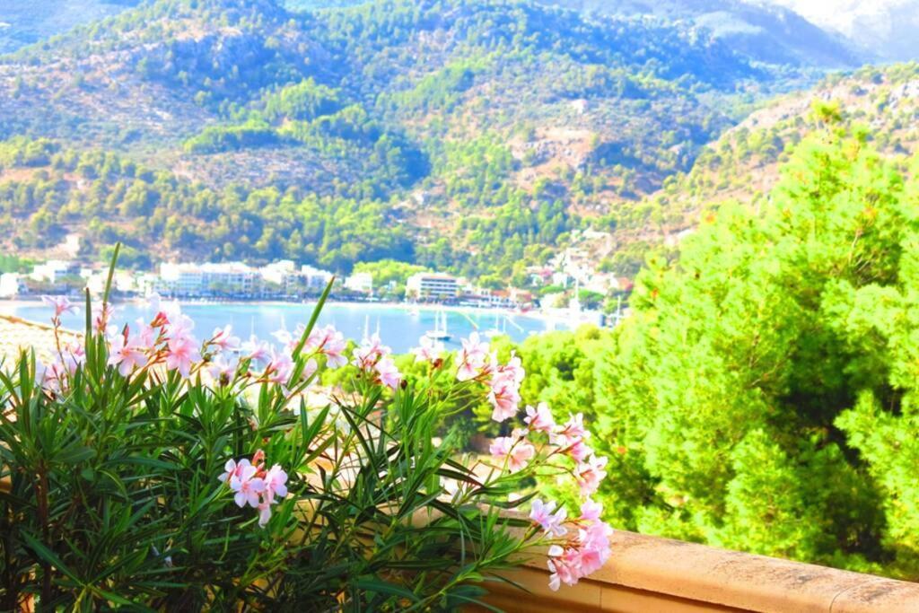 Apartamento Gran Terraza Privada Y Vistas Al Mar Пуэтро де Соллер Экстерьер фото
